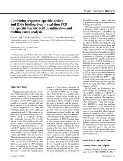 Combining sequence-specific probes and DNA binding dyes in real