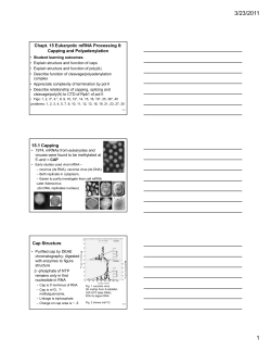 PDF, 3 slides per page
