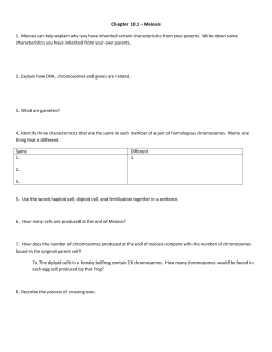 Chapter 10.1 - Meiosis