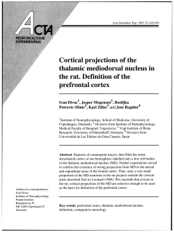 Cortical projections of the thalamic mediodorsal nucleus in the rat