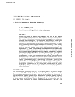 THE MECHANISM OF ADHESION OF CELLS TO GLASS A Study by