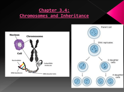 Ch 3.4 Chromosomes and Inheritance