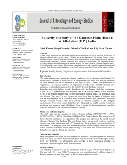 Butterfly diversity of the Gangetic Plain (Doaba) at Allahabad (U.P.