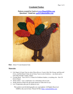 Crocheted Turkey