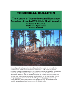 parasites in hoofed wildlife final