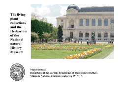 The living plant collections and the Herbarium of the National