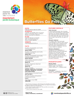 Butterflies Go Free - Espace pour la vie
