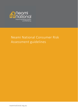 Neami National Consumer Risk Assessment