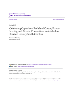 Cultivating Capitalism: Sea Island Cotton, Planter Identity, and