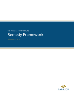 Porgera Joint Venture Remedy Framework