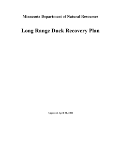Long Range Duck Recovery Plan