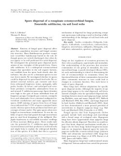 Spore dispersal of a resupinate ectomycorrhizal fungus, Tomentella