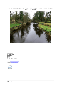 Review and Assessment of Fishery Management Options at