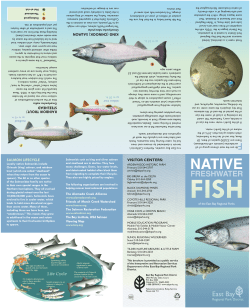 native - East Bay Regional Park District