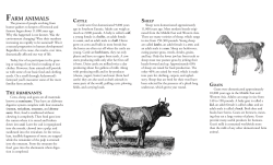 farm animals - East Bay Regional Park District