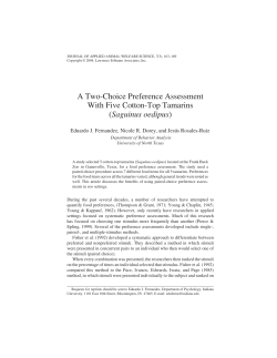 Preference Assessment Zoo