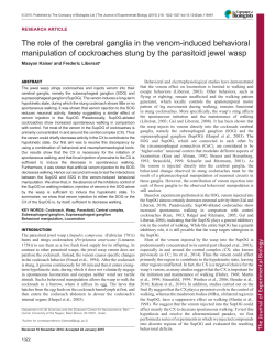 The role of the cerebral ganglia in the venom