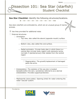 Dissection 101: Sea Star (starfish)