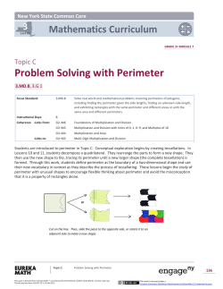 Problem Solving with Perimeter
