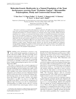 Molecular-Genetic Biodiversity in a Natural Population of the Yeast
