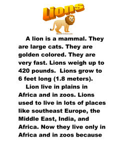 A lion is a mammal. They are large cats. They are golden colored