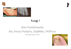 Fungi - Hilary Supplies