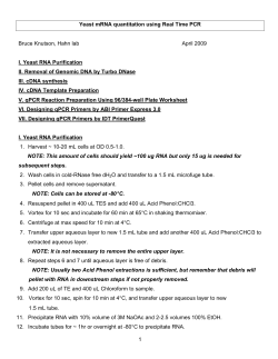 Quantitative Real Time PCR Protocol