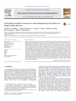 Colocalizing incipient reactions in wood degraded by the brown rot