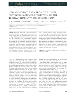 New ammonoid taxa from the Lower Cretaceous Giumal Formation
