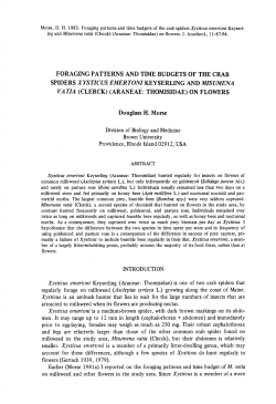 Morse, D. H. 1983 . Foraging patterns and time budgets of the crab