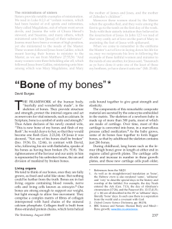 Bone of my bones - Testimony Magazine