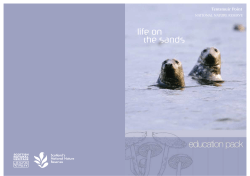 tentsmuir point NNR- life on the sands