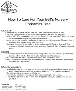How To Care For Your Bell`s Nursery Christmas Tree