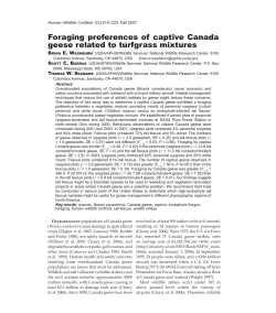 Foraging preferences of captive Canada geese related to turfgrass