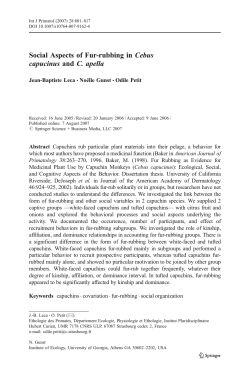 Social Aspects of Fur-rubbing in Cebus capucinus and C. apella