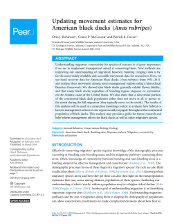 Updating movement estimates for American black ducks