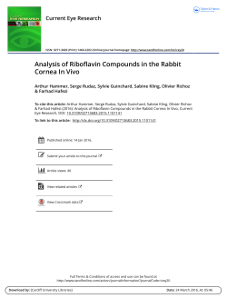 Analysis of Riboflavin Compounds in the Rabbit