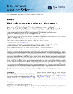 Plastic and marine turtles: a review and call for research