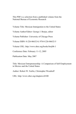 Mexican Entrepreneurship: A Comparison of Self