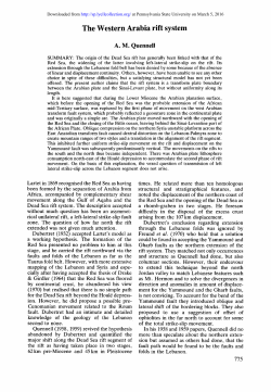 as a PDF