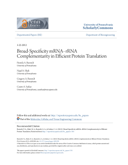 Broad-Specificity mRNA&ndash;rRNA Complementarity in Efficient Protein