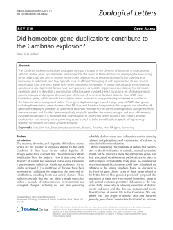 Did homeobox gene duplications contribute to the Cambrian