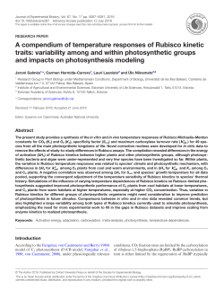 A compendium of temperature responses of Rubisco kinetic traits