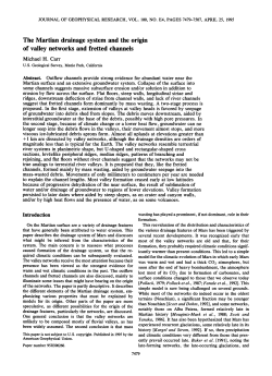 The Martian drainage system and the origin of valley networks and