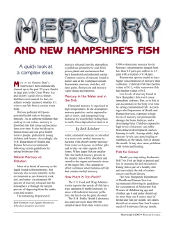 Mercury and New Hampshire`s Fish