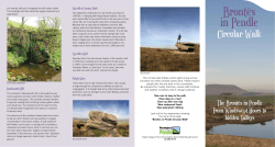 Brontes in Pendle Walk