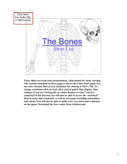 The Bones PDF - Class Videos