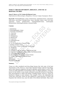 Insect Viruses Diversity, Biology, and Use as