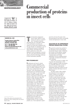 Commercial production of proteins in insect cells