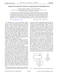 Selection of Two-Phase Flow Patterns at a Simple Junction in